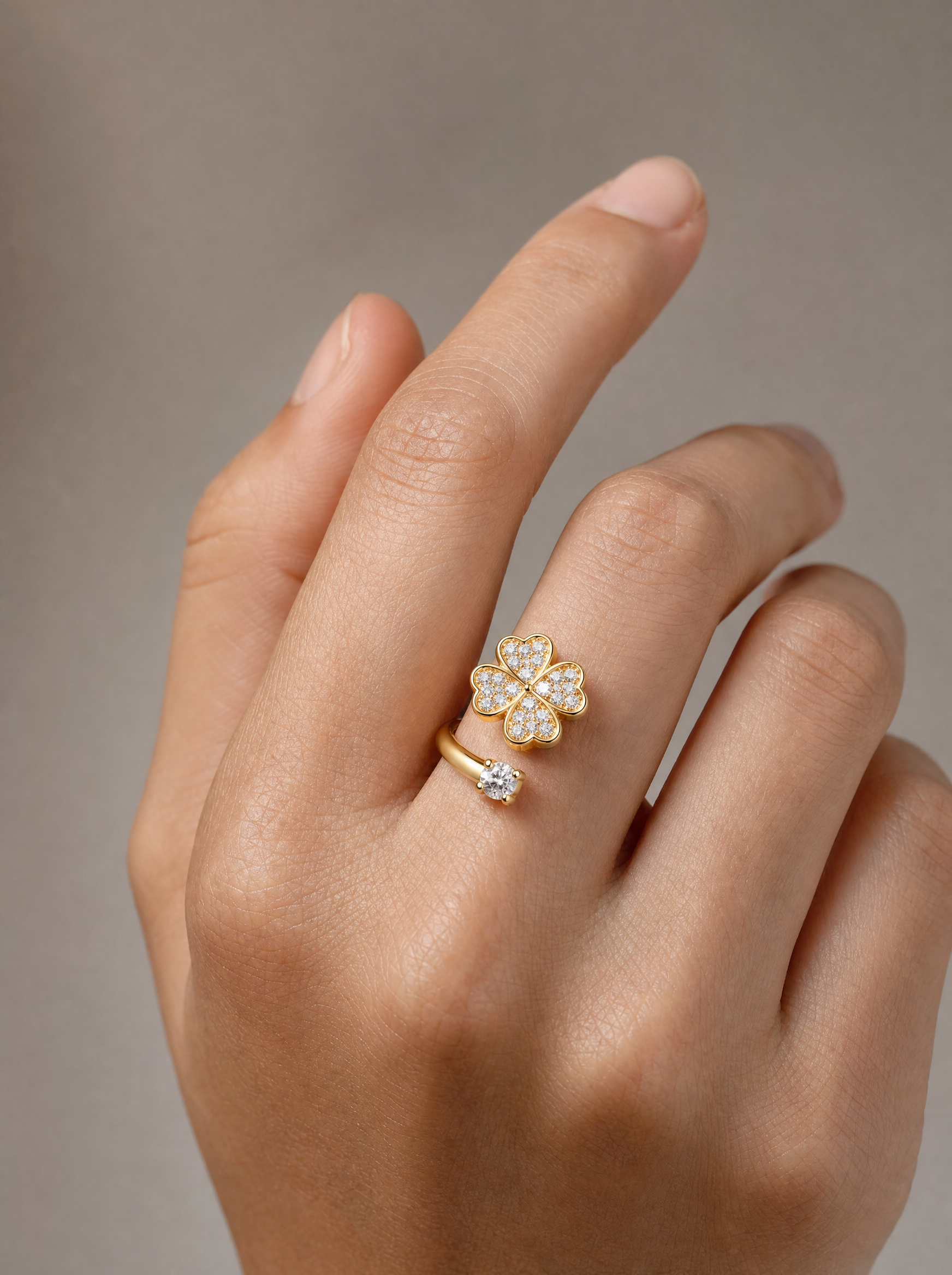 Veyne Anillo - closeup